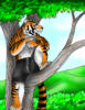art51